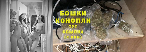 spice Арсеньев