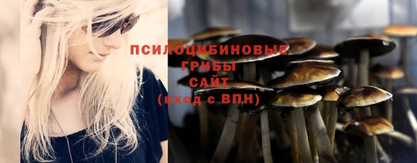 MESCALINE Аркадак