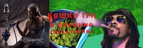 spice Арсеньев